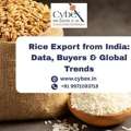 Rice Export From India: Data, Buyers & Global Trends