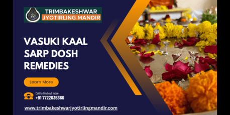 Mumbai, Business, Shankhpal Kaal Sarp Dosh Benefits & Vasuki Kaal Sarp Dosh Remedies