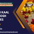 Shankhpal Kaal Sarp Dosh Benefits & Vasuki Kaal Sarp Dosh Remedies