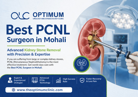 Punjab, Health, Best PCNL Surgeon In Mohali | Advanced Kidney Stone Removal Treatment