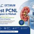 Best PCNL Surgeon In Mohali | Advanced Kidney Stone Removal Treatment