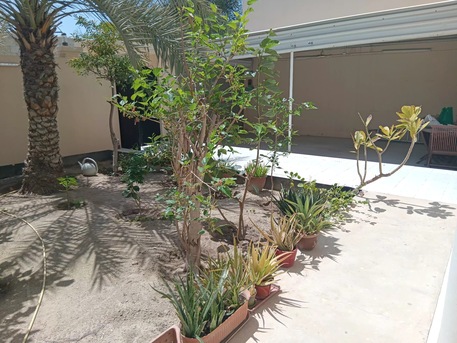 Jannusan, Villas, BHD 500,  Furnished,  350 Sq. Meter,  Great Opportunity Villa For Rent In Jannusan Budayia Road