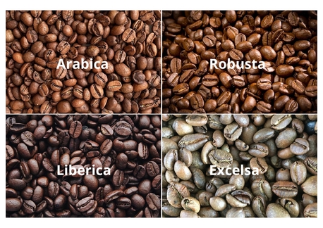 Madinah, Food, SAR 10000,  Wholesale Coffee Beans 1 Metric Ton (1000 Kilograms)