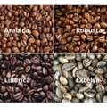 SAR 10000,  Wholesale Coffee Beans 1 Metric Ton (1000 Kilograms)