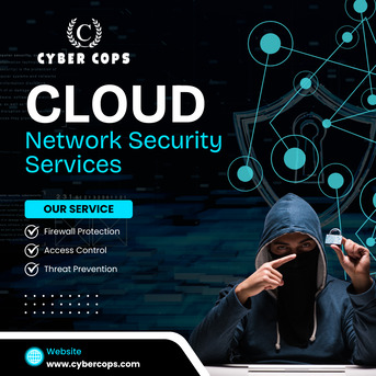 Punjab, Security, Why Cloud Network Security Services Are Important Today