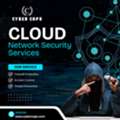 Why Cloud Network Security Services Are Important Today