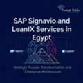 SAP Signavio & LeanIX Services In Egypt | Prompt Edify