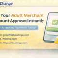 Fast Setup Adult Merchant Account – No Delays
