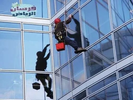Riyadh, Jobs, Rope Spider Cleaner