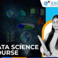 Data Scientist Course