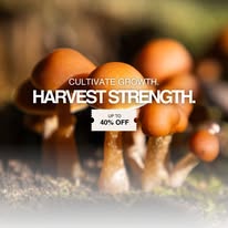 London, Financial, Smart Picks For Best Coupons And Deals To Elevate Your Savings Game