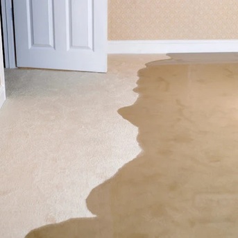 New York, Business, Paul Davis Restoration Of Lake, Marion And Sumter Counties