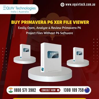 Sydney, Software Development, Primavera P6 XER Viewer & Project Controls Software