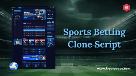 New York, Legal, Top Features To Look For In A Sports Betting Clone Script