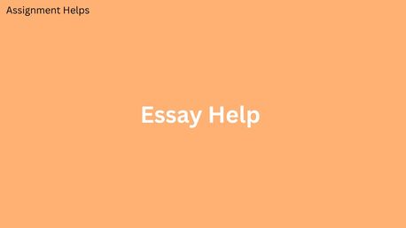 London, Education, How To Get Personalized Essay Help From Experts
