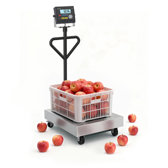 Kampala, Electronics, UGX 850000,  Platform Scale &ndash; Affordable Price