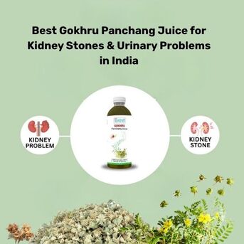 Mumbai, Health & Beauty Items, INR 580,  Best Gokhru Panchang Juice For Kidney Stones & Urinary Problems In India