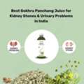 INR 580,  Best Gokhru Panchang Juice For Kidney Stones & Urinary Problems In India