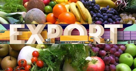 Jeddah, Business, Professional Advertisement &ndash; Fruits & Vegetables Export Licensing