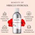 INR 199,  Buy Hibiscus Hydrosol Online For Cosmetic & Beauty Products | Raasa Oils