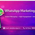 Top WhatsApp Marketing Service Provider In India
