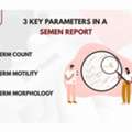 Semen Analysis Explained: Meaning Of Every Parameter
