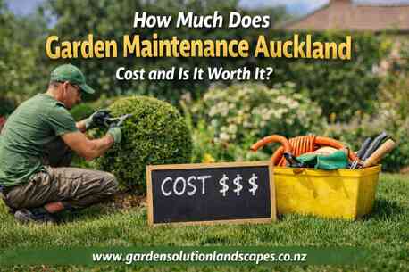 Auckland, Farm/Garden, How Much Does Garden Maintenance Auckland Cost And Is It Worth It