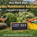 How Much Does Garden Maintenance Auckland Cost And Is It Worth It