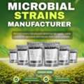 USD 35,  High-Quality Microbial Strains Manufacturer &ndash; Order Now