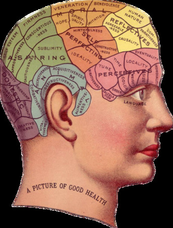 Tampa Bay, Health, Brain Mapping Tampa &ndash; Advanced Mental Health Assessment