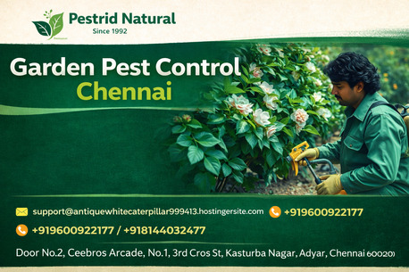 Chennai, Pest Control, Garden Pest Control Services In Chennai | Pest Rid Naturals