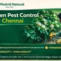 Garden Pest Control Services In Chennai | Pest Rid Naturals