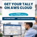 Tally On Cloud Services In Delhi