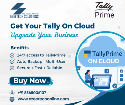 New Delhi, Accounting, Tally On Cloud Services In Delhi