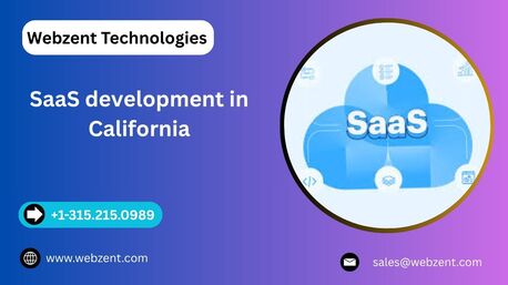 New York, Web Design & Development, SaaS Development In California | Scalable SaaS Solutions &ndash; Webzent