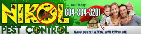 Toronto, Business, Nikol Pest Control