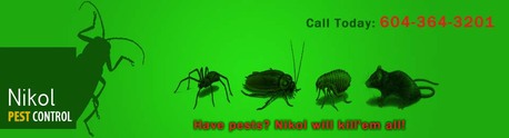 Toronto, Business, Nikol Pest Control