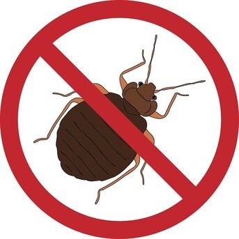 Thuqbah, Pest Control, ✅✅✅ COCKROACH PROBLEM KHOBAR? SAME DAY PEST CONTROL SERVICE AVAILABLE ✅✅✅