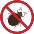 ✅✅✅ BED BUG PROBLEM KHOBAR? URGENT MATTRESS & SOFA TREATMENT SAME DAY ✅✅✅