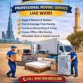 Professional Movers And Packers In Dubai