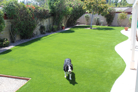 Los Angeles, Business, Affordable Artificial Turf Installation Near You