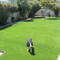 Affordable Artificial Turf Installation Near You