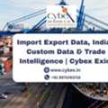 Import Export Data, Indian Custom Data & Trade Intelligence | Cybex Exim