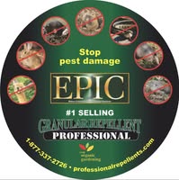 New York, Business, EPIC Repellents