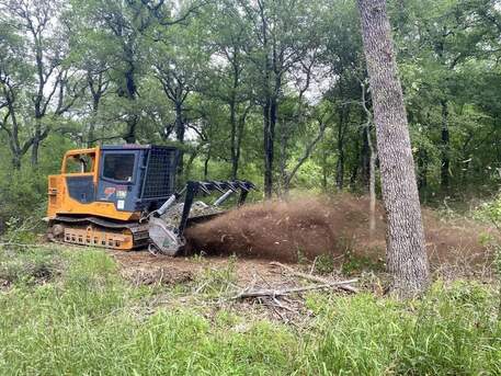 New York, Business, Eco-Friendly Organic Land Clearing On The Big Island By Arborist Services