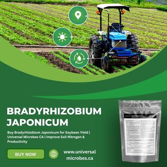 Toronto, Farm & Garden, CAD 45,  Increase Soybean Productivity With Bradyrhizobium Japonicum &ndash; Buy Now