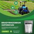 CAD 45,  Increase Soybean Productivity With Bradyrhizobium Japonicum &ndash; Buy Now