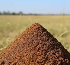 Lucknow, Wholesale Products, Cow Dung Powder Suppliers In Bihar