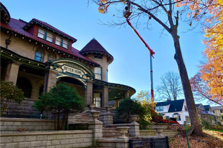 Miami, Cleaning, Professional Tree Removal | Hoosier Tree