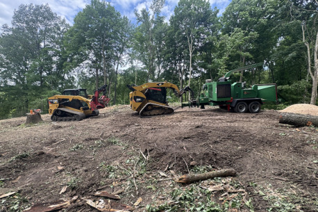 Miami, Cleaning, Professional Tree Removal | Hoosier Tree